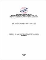 Dissertacao Dirlene Guimaraes de Barros Goncalves 2009 Texto Completo.pdf.jpg