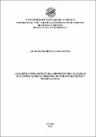 Dissetacao Gicelma dos Santos 2005 texto completo.pdf.jpg