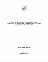 Dissertacao Angelo Pepe Agulha texto completo 2002.pdf.jpg